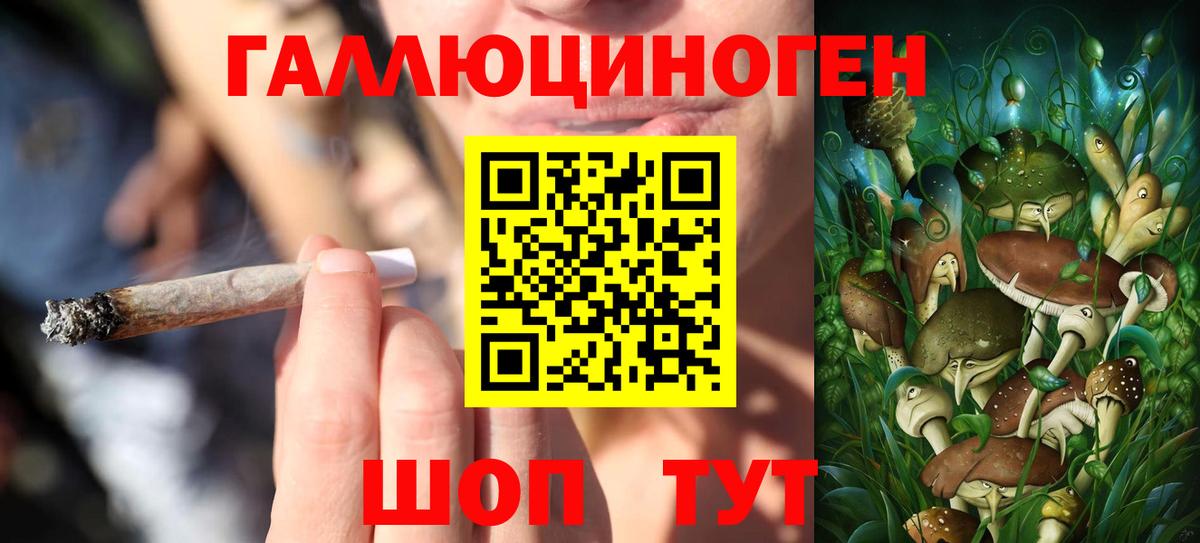 Тельмана  Псилоцибиновые грибы ЛСД  Псилоцибиновые грибы ЛСД  Вход с VPN 