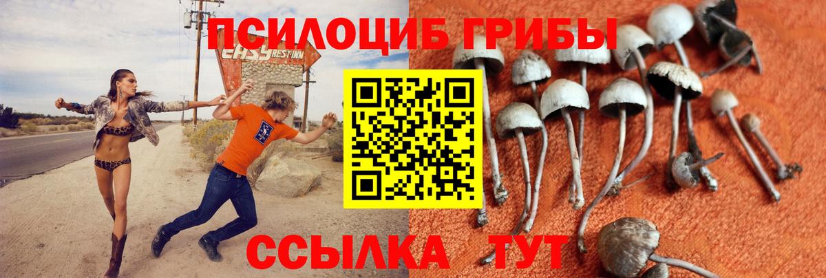Галлюциногенные грибы мицелий Тельмана